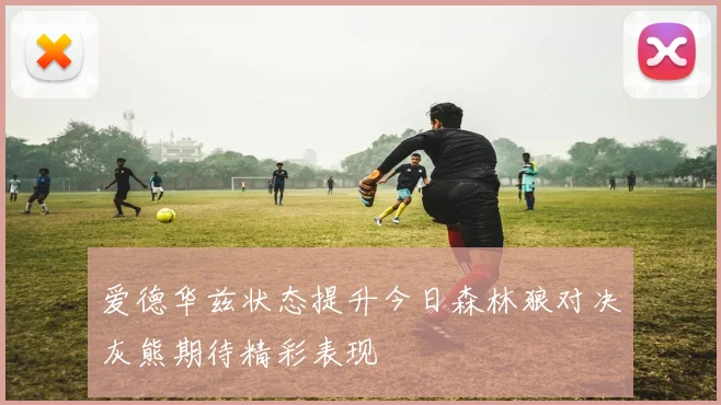 爱德华兹状态提升今日森林狼对决灰熊期待精彩表现